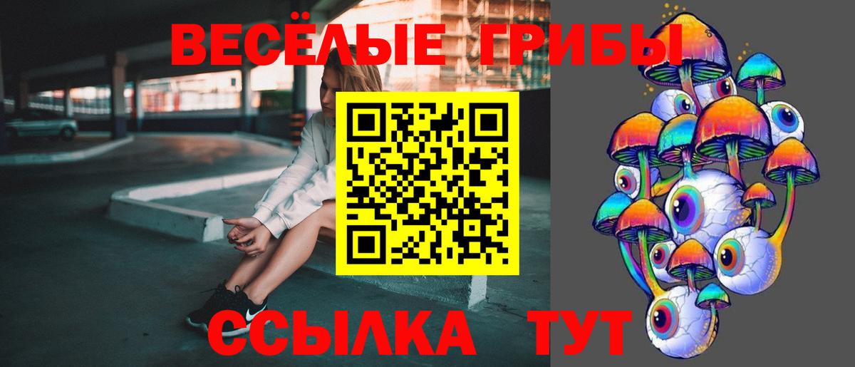 Чайковский  Галлюциногенные грибы Psilocybe  Вход с VPN 